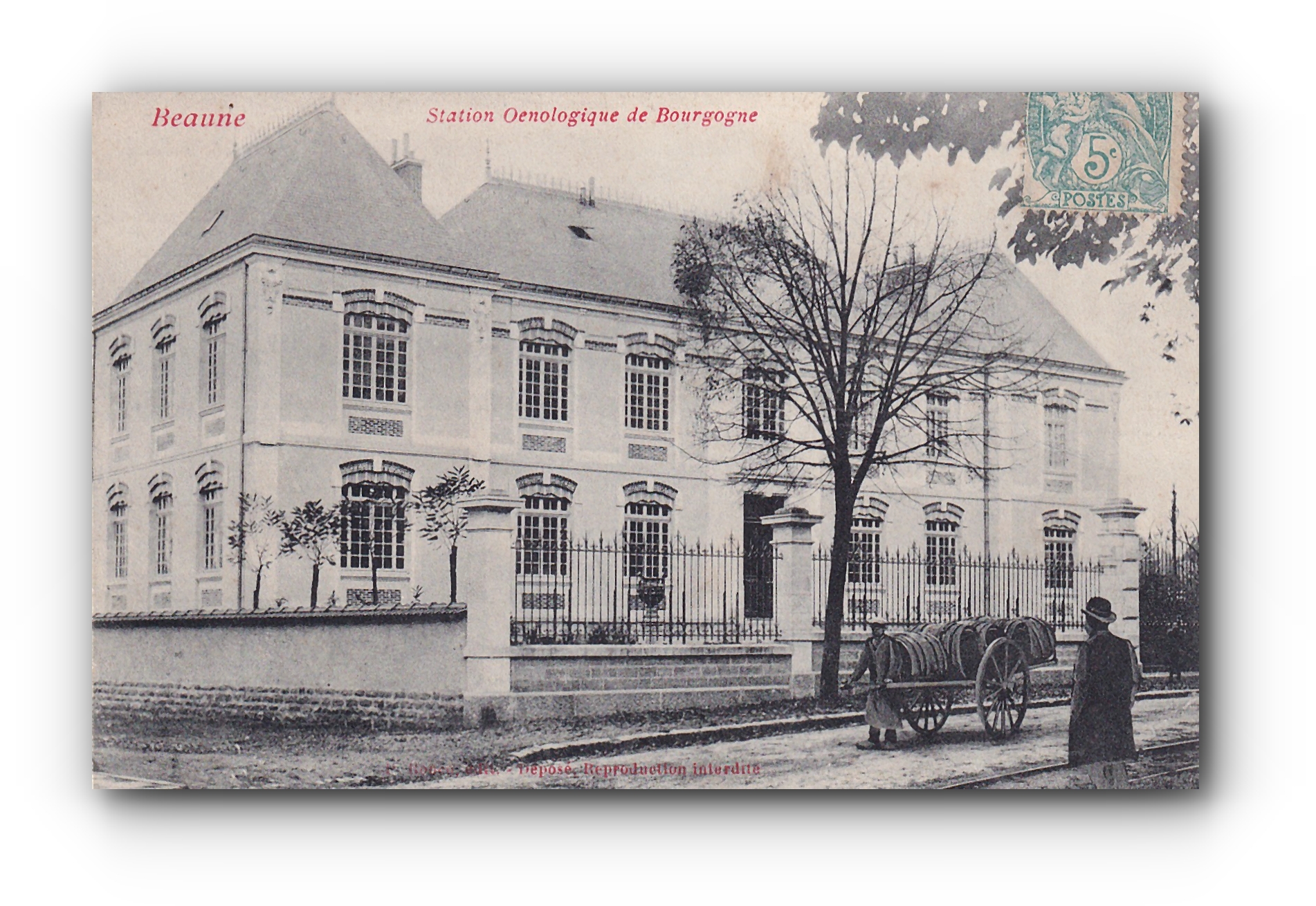 - Station Oenologique de Bourgogne - BEAUNE - 11.12.1906 -