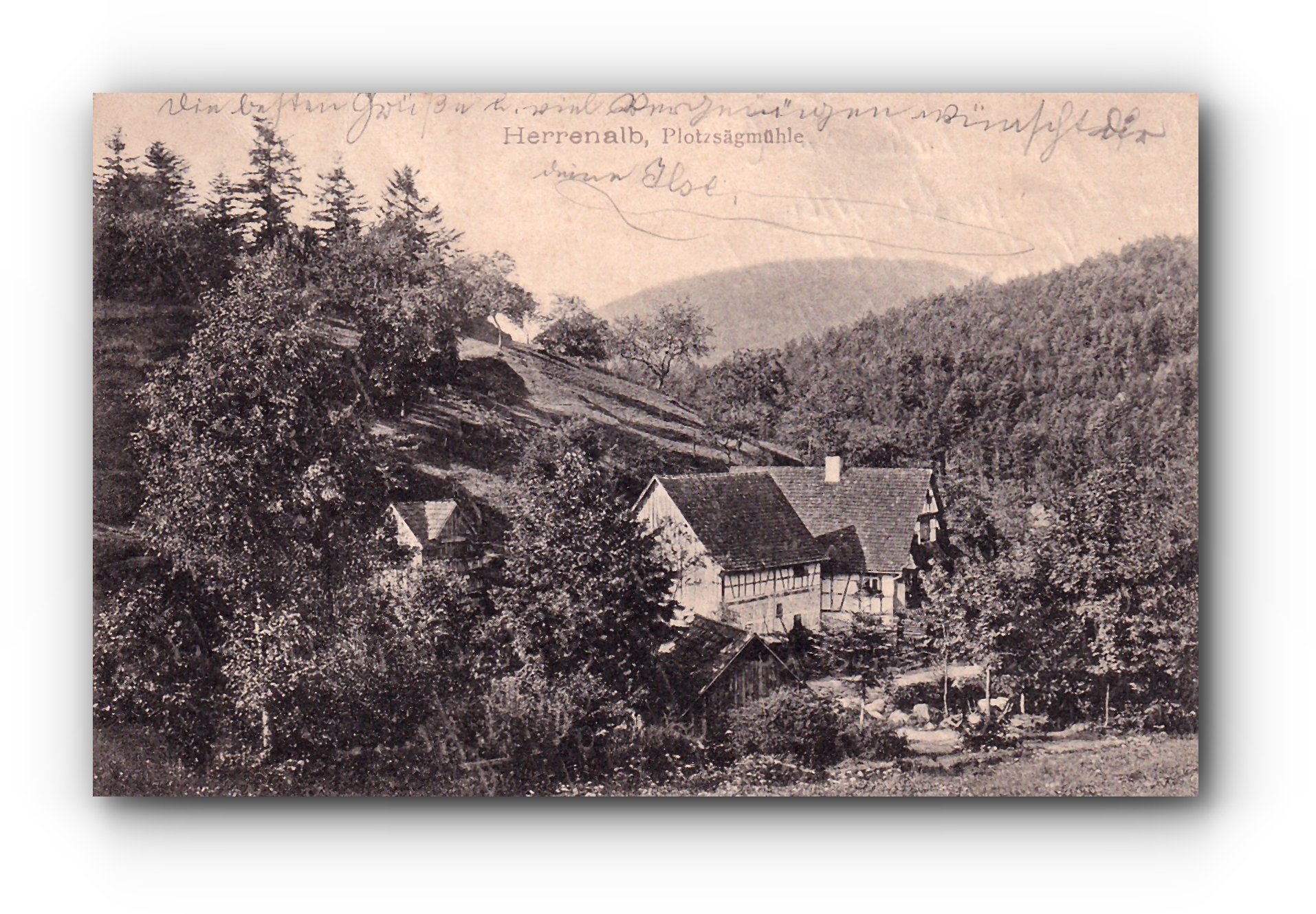 - Plotzsägmühle - HERRENALB - 12.08.1910 -