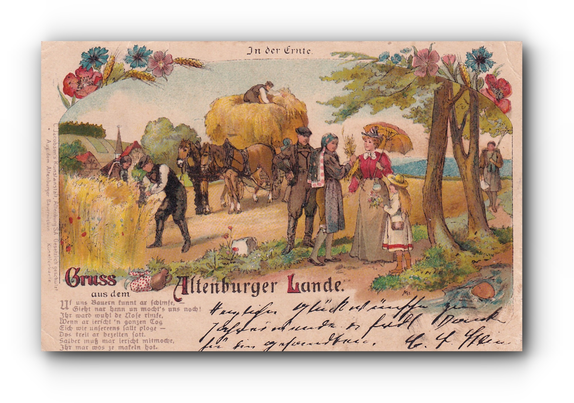 - In der Ernte - Gruss aus dem ALTENBURGER LAND - 02.01.1903 -