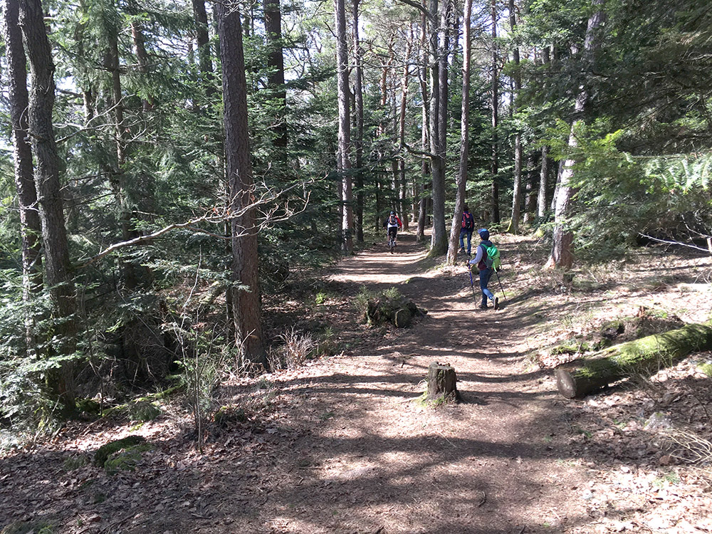 Wandern und Mountainbiken im Elsass