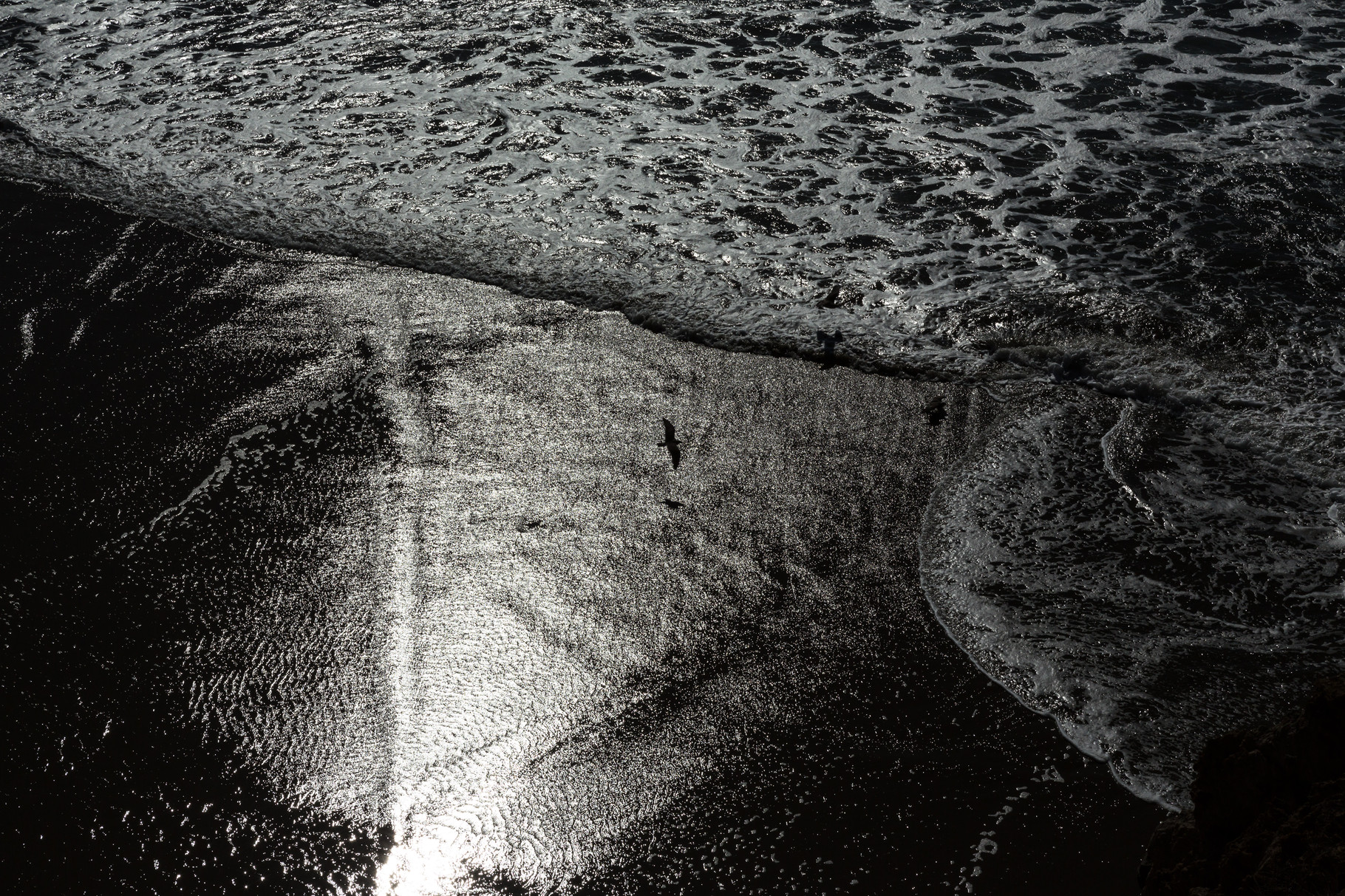 Ocean Beach, San Francisco, USA (2015) 