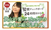 ヘナを初めて使用する方へ｜お客様の髪の状態を選んで送信！２４時間以内にプロスタッフから髪の状態に合わせたおススメのヘナをご案内いたします【メール返信】