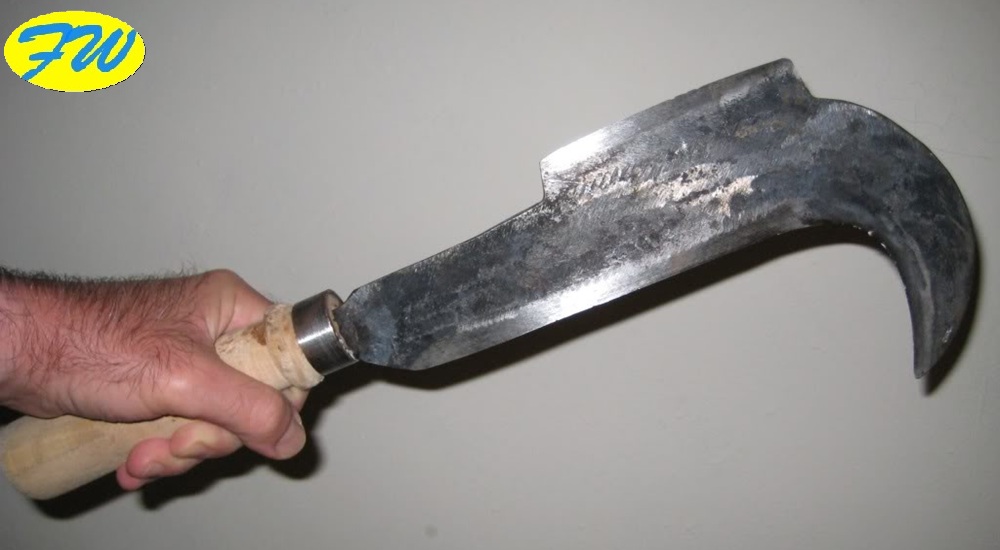 Minaccia il Vicino con una Roncola