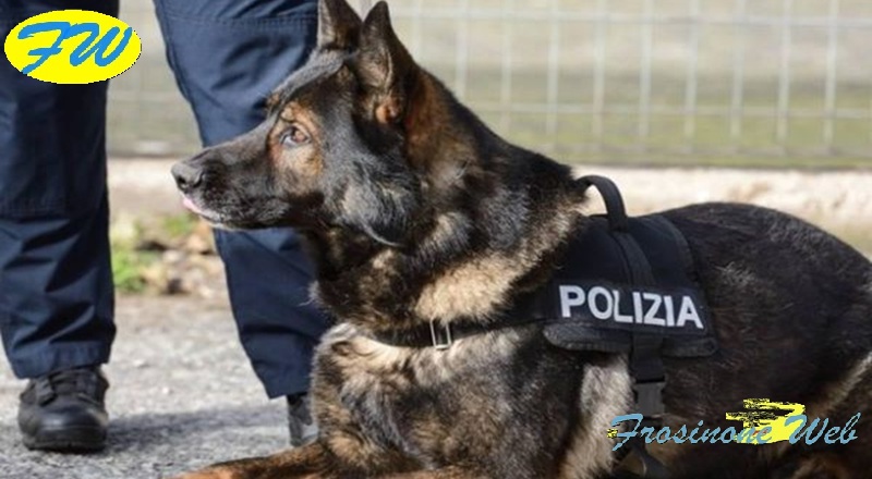 A Scuola Polizia e Cani Antidroga