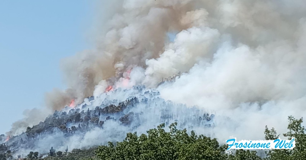 Incendio. Il Monito del Vescovo: Non Siate Complici
