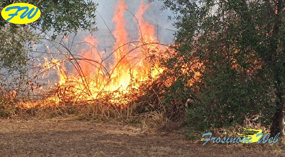 Incendi, Vento, Pioggia e Grandine