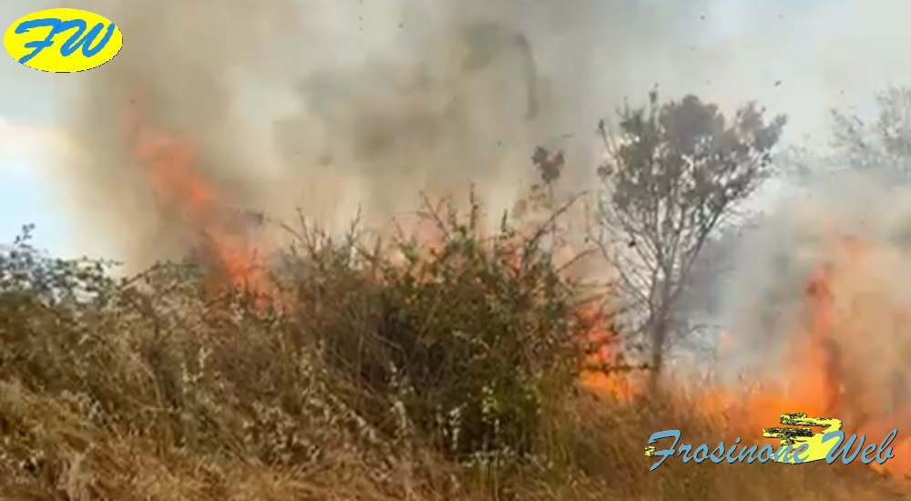 Incendio a Ridosso delle Abitazioni