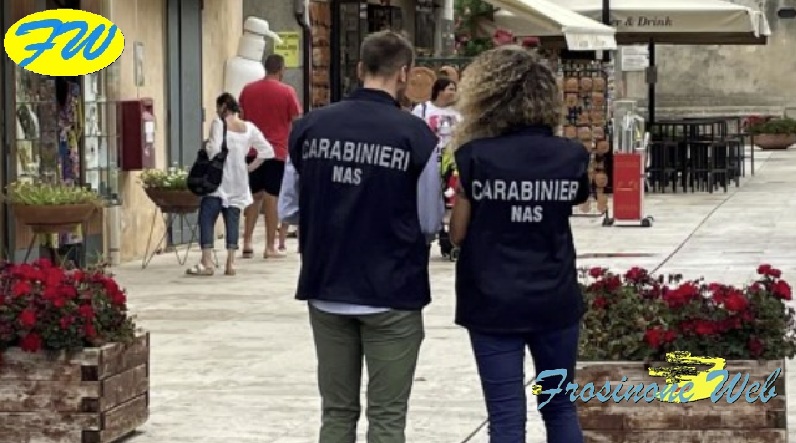 400 kg di Prodotti Sequestrati. Multe e Attività Chiuse