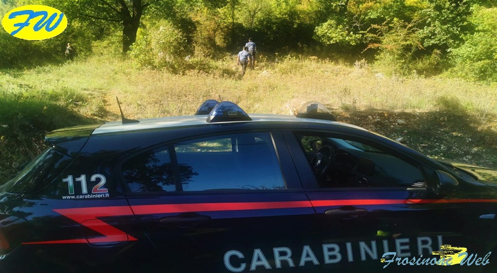 Anziano Si Perde nei Boschi