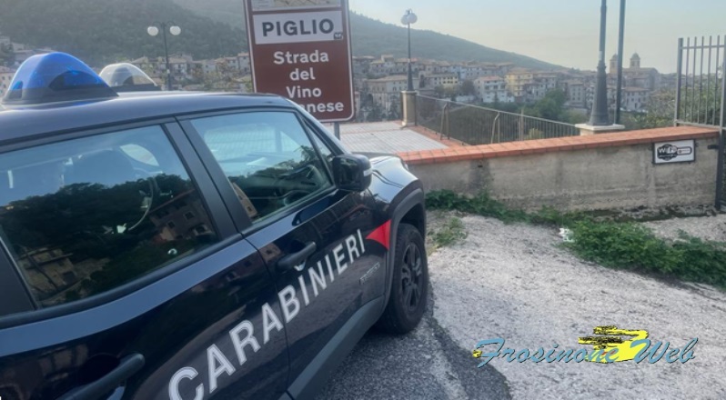 Ubriaco Alla Guida. 84enne Condannato