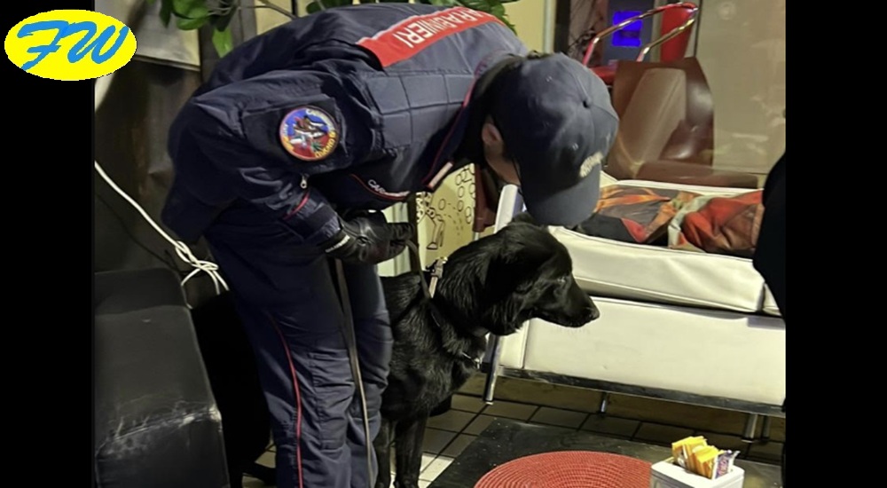 Operazione Antidroga. Balmudo Determinante