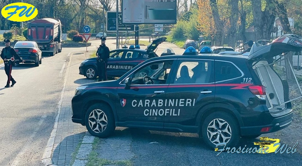 Controlli sulla Movida
