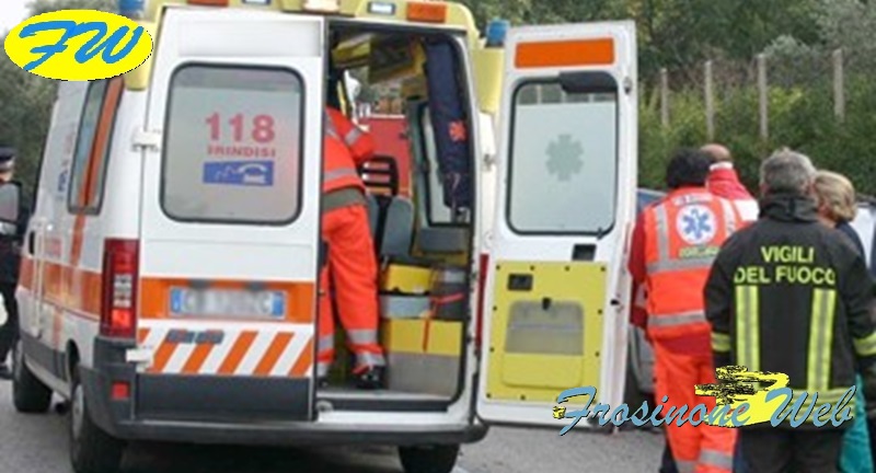 Albero Travolge e Uccide 29Enne