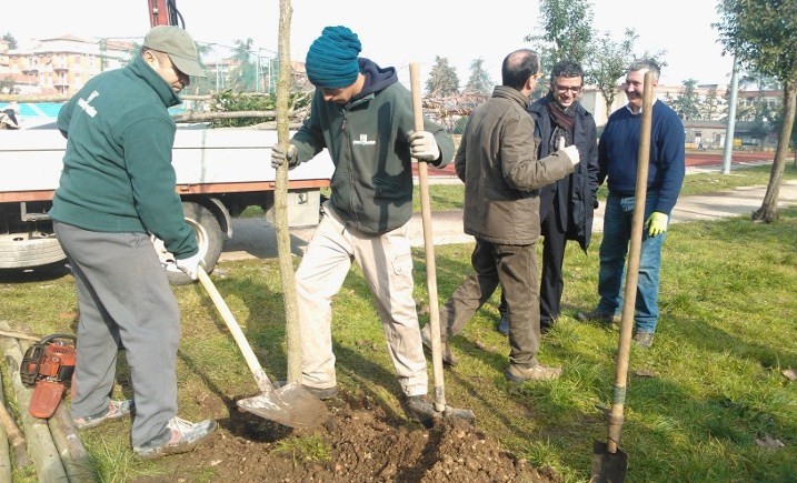 Frosinone. Messa a dimora di nuovi alberi al campo Zauli di via marittima