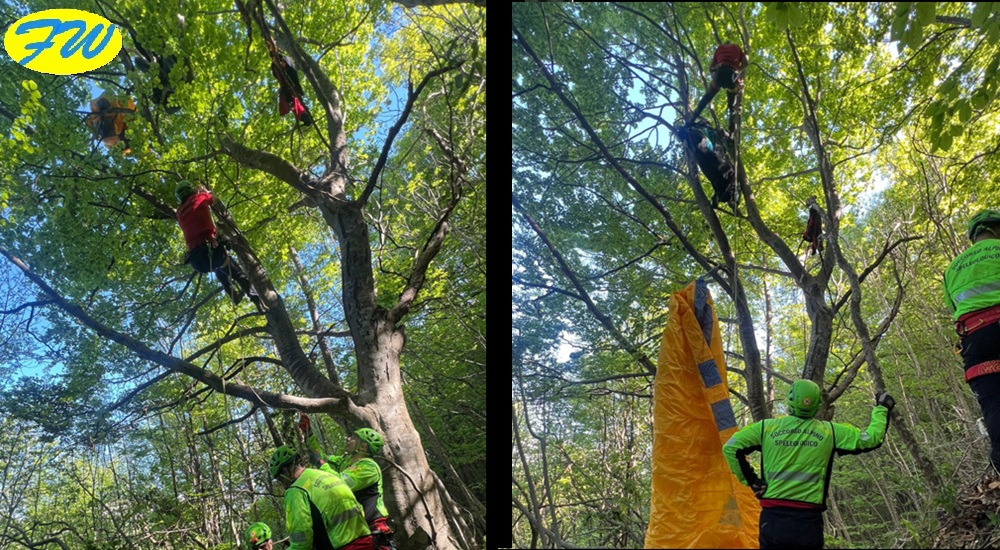 Parapendista Appeso all'Albero