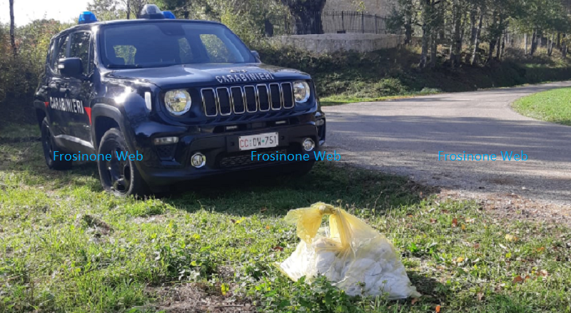 Abbandona Rifiuti. 75enne Multato