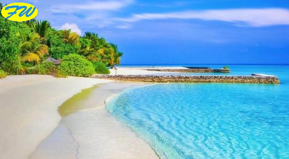 Vacanza da Sogno. Ma Era una Truffa