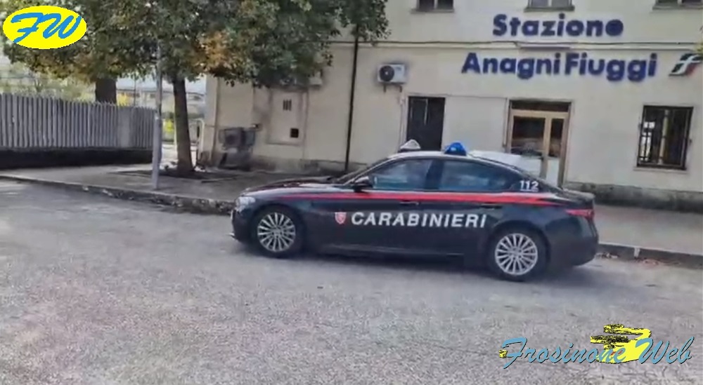 Aggredita e Rapinata in Treno