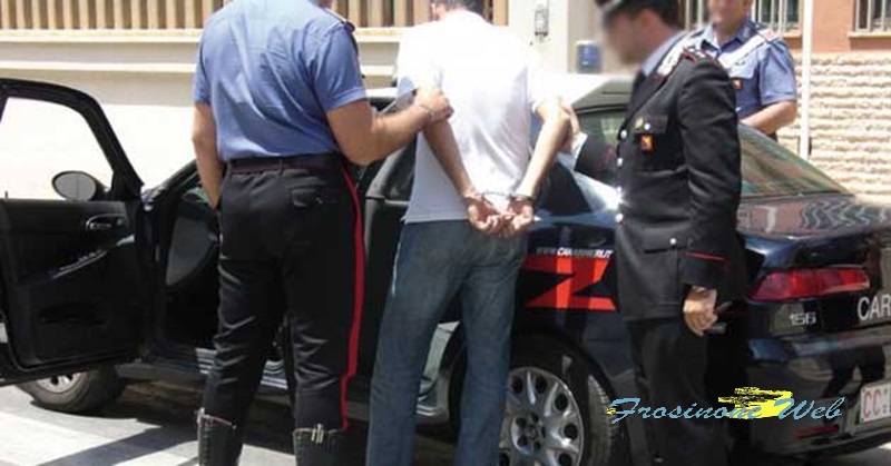 Rubano 35 Bottiglie di Liquori
