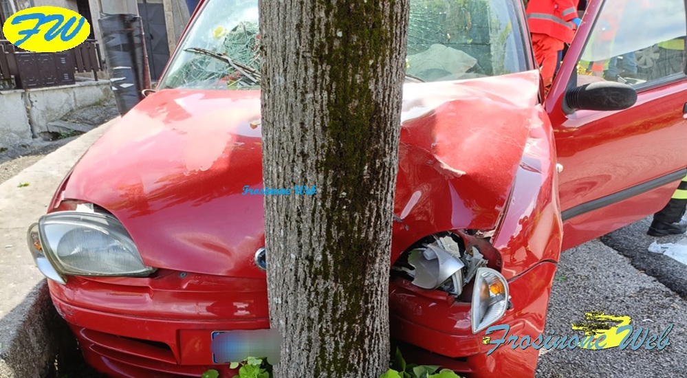 Con L'Auto Contro l'Albero