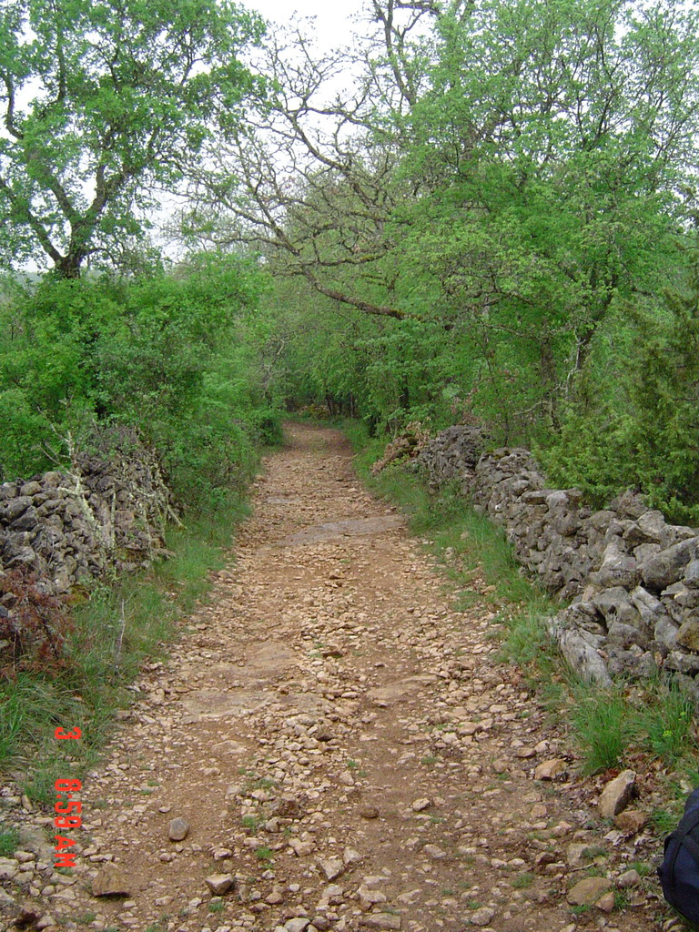 Nos Chemins