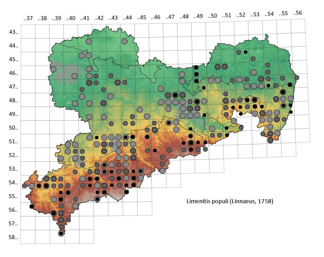 Vorkommen von Limenitis populi in Sachsen ab 2007