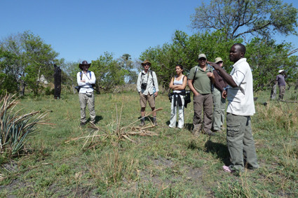 Buschwalk in Botswana