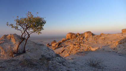 zum Sonnenaufgang im Namib Naukluft Park