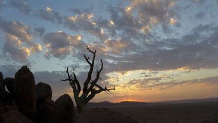 Sonnenuntergang am Desert Camp