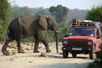 Unterwegs in Botswana