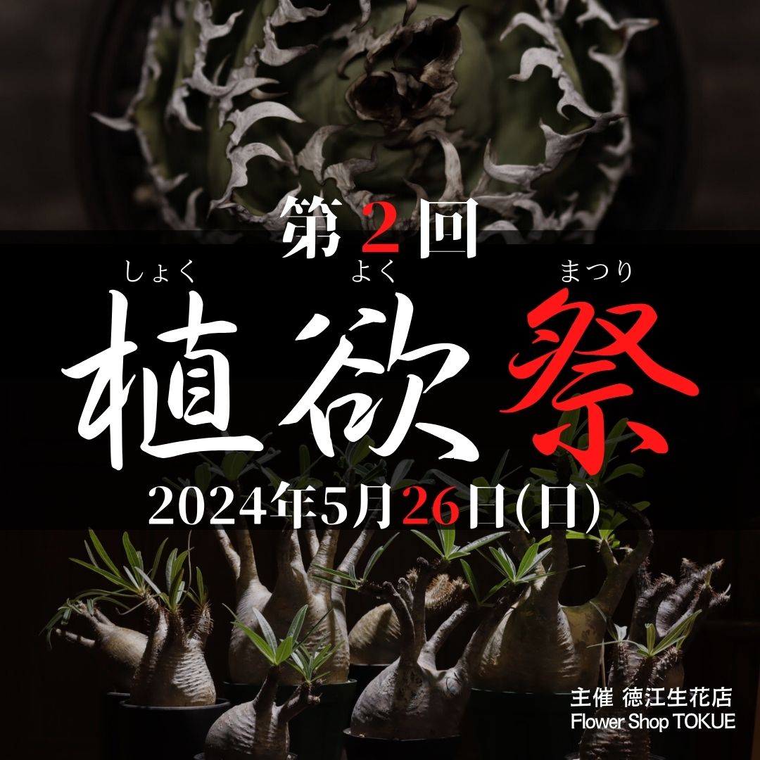 今年もやります！　第２回植欲祭  　　2024/04/14更新