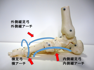 圧迫骨折再発率を減少させる整体法