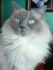 Photo de Marine