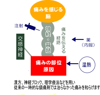 ペインクリニック医のための痛みの診断手順 Amazon.co.jp: ペインクリニック医のための痛みの診断手順 : 表