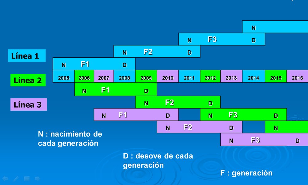 Esquema del progreso del PMG en el tiempo