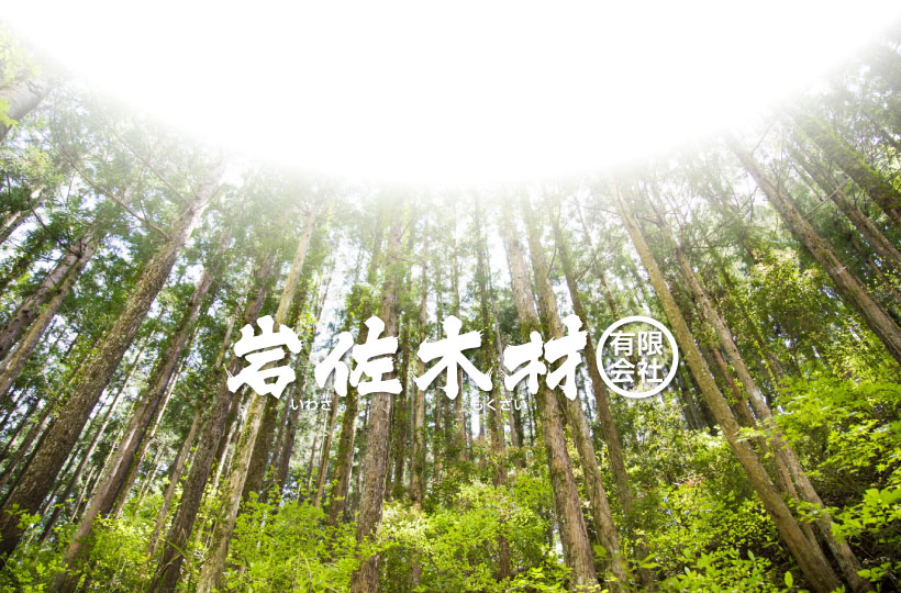 架線集材による林業、岩佐木材㈲【新潟県村上市山北】