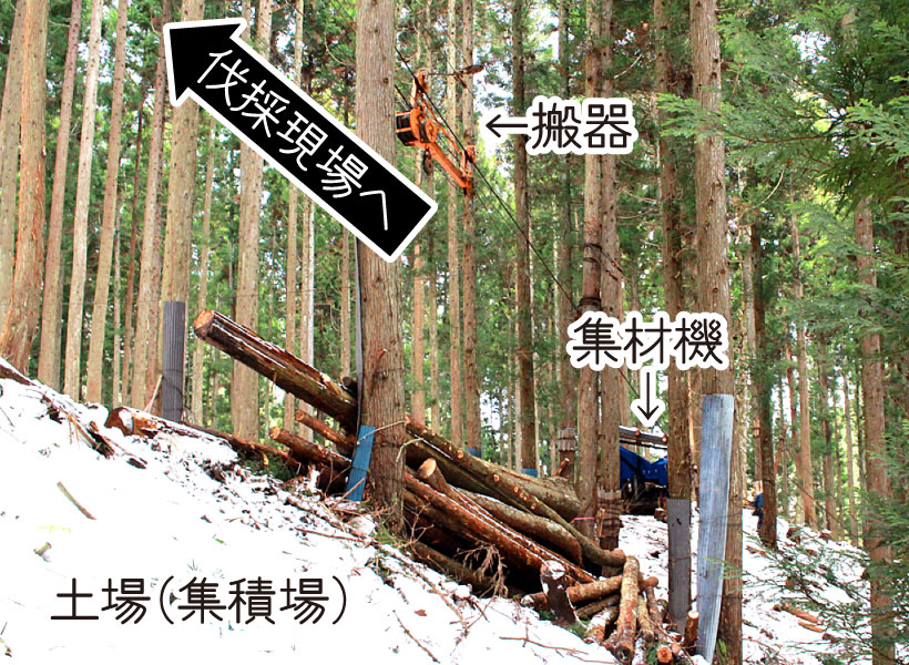 架線集材とは 新潟県村上市 架線集材の林業 岩佐木材 有限会社