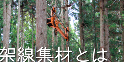 架線集材とは【岩佐木材 有限会社】