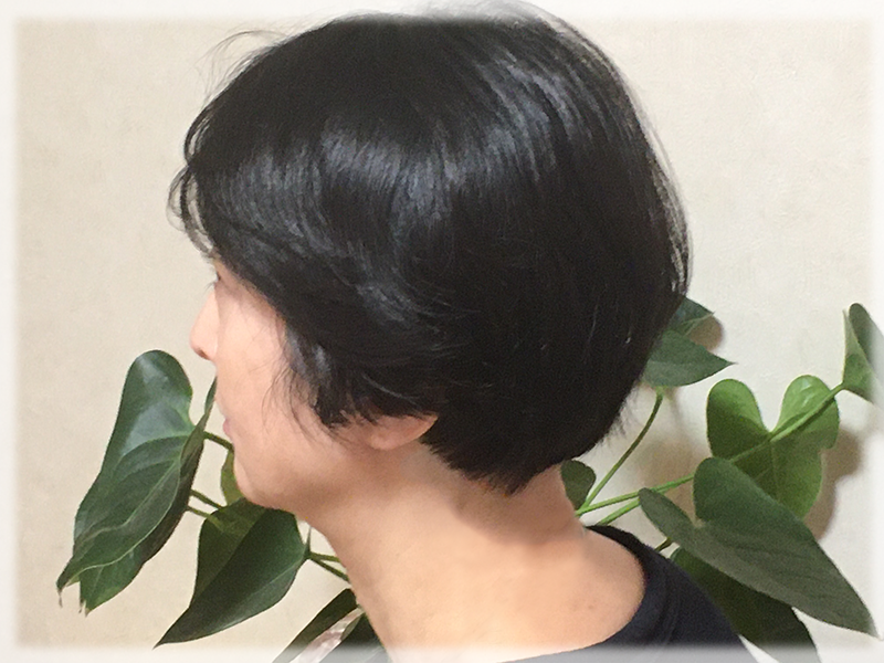 ヘアーカット