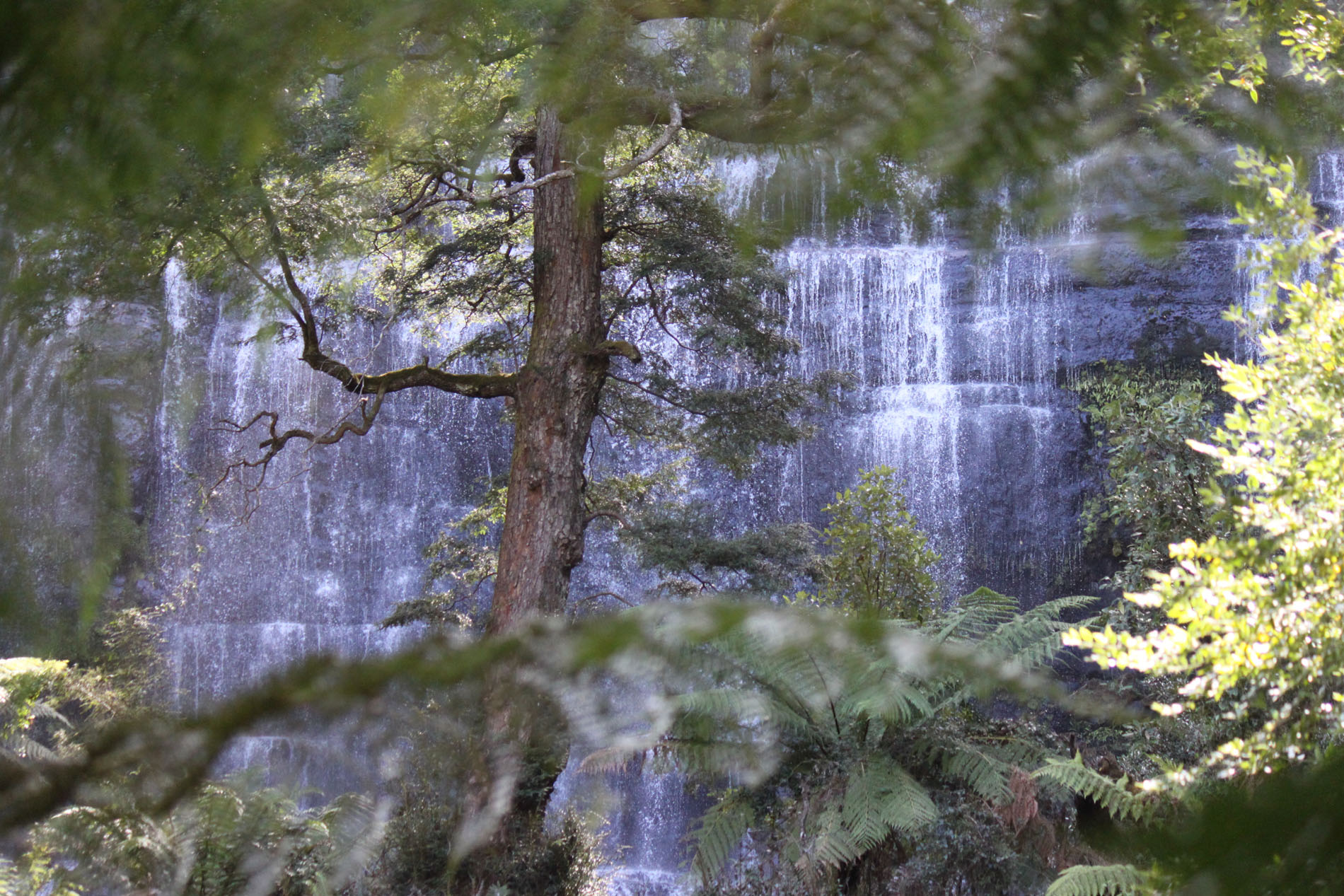 Russell Falls, Mt. Field Nationalpark