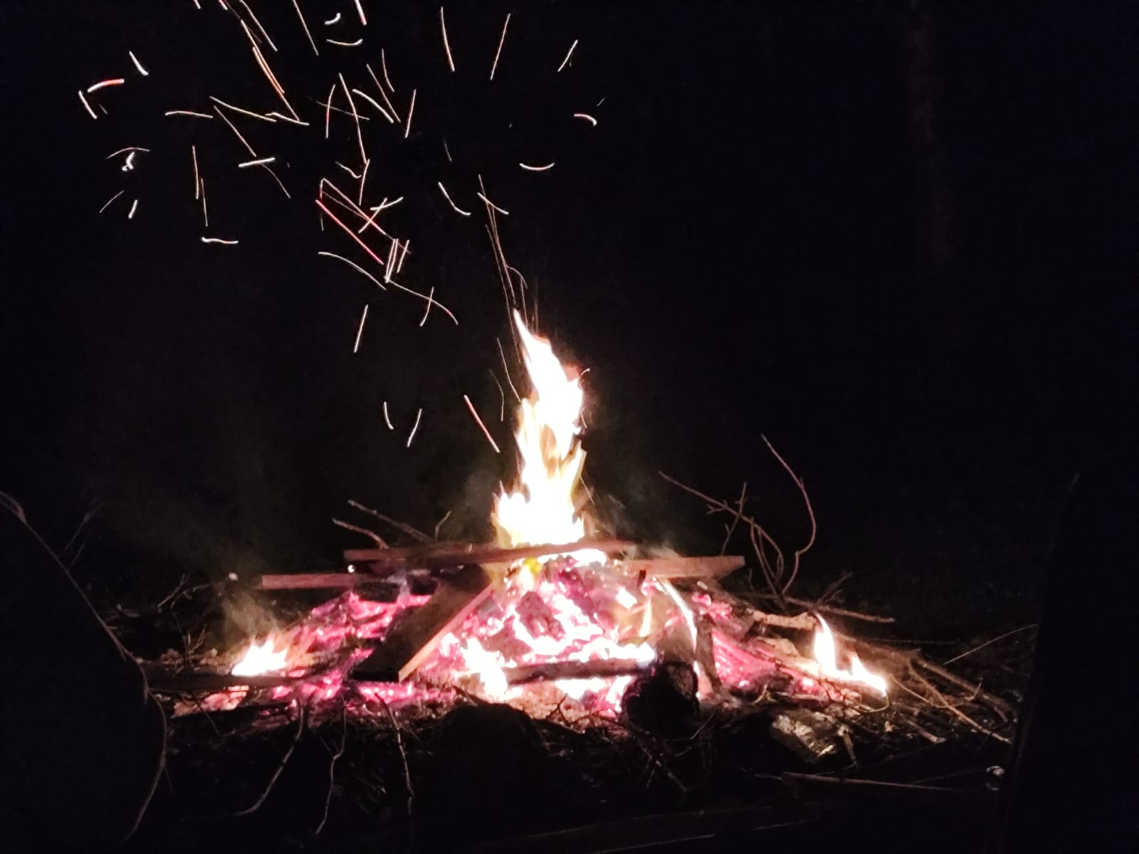 die 5 Personen die übernacht geblieben sind, saßen am Lagerfeuer