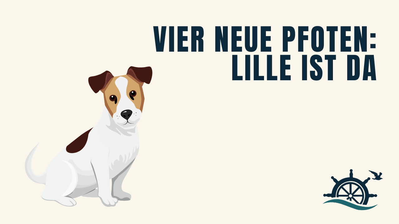 Vier neue Pfoten: Lille ist da!