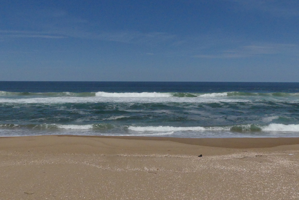 Plage de Paloma