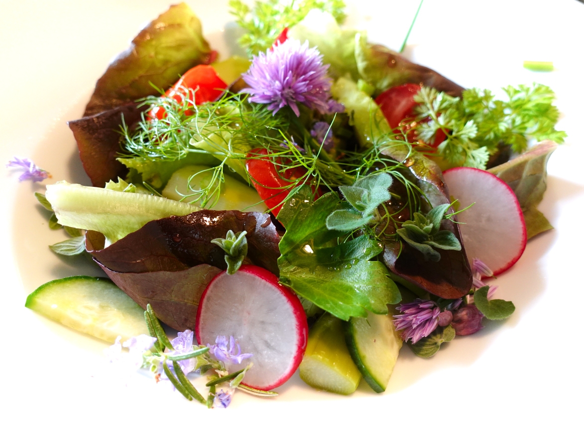 Der erste Salat aus dem Palettengarten! - warmekueche.at