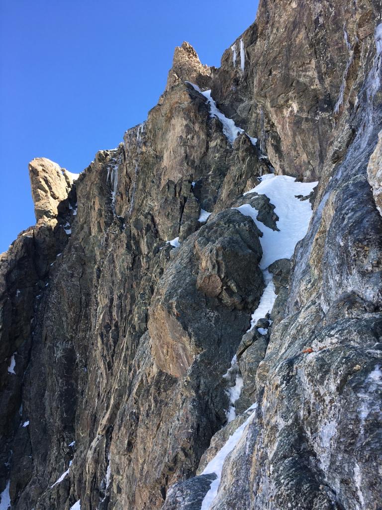 Grassi  à l'Ailefroide