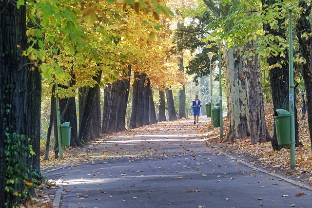 Gesund durch den Winter: Prophylaxe-Tipps für dein Immunsystem (Teil 2)