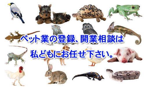 三郷市でのペット業の登録、開業相談は私どもにお任せ下さい。