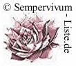 Das Sempervivum-Lexikon