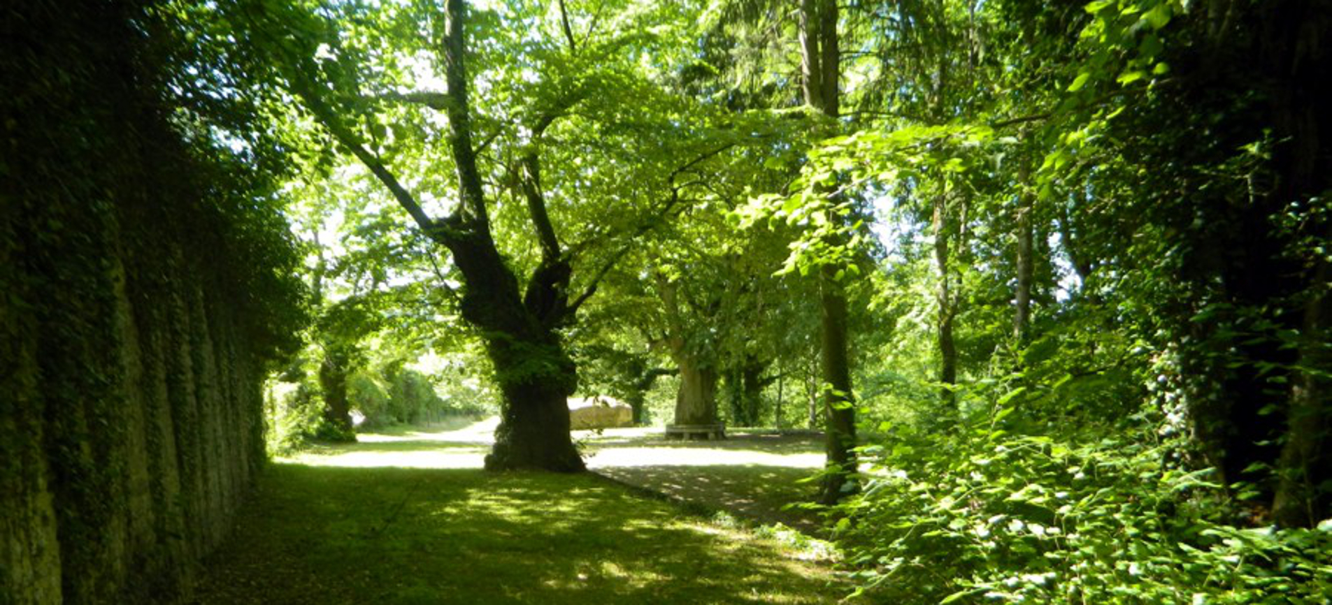 Promenade aux abords des vestiges du château