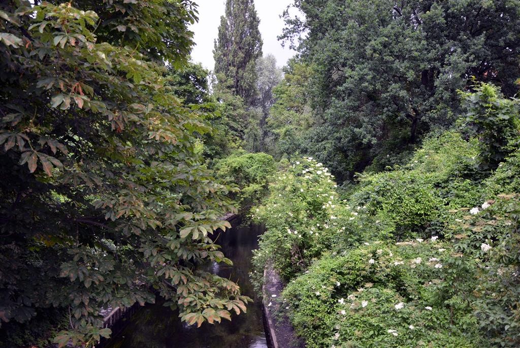 Blick auf die Panke von der Soldiner Brücke